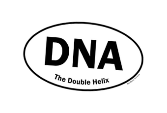 Genetics